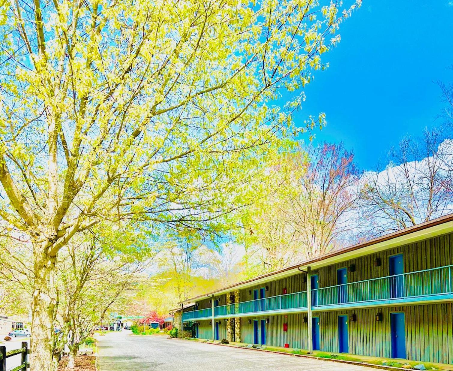 Newfound Lodge On The River Cherokee Extérieur photo